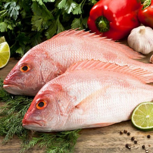 Whole Red Snapper - Medium size